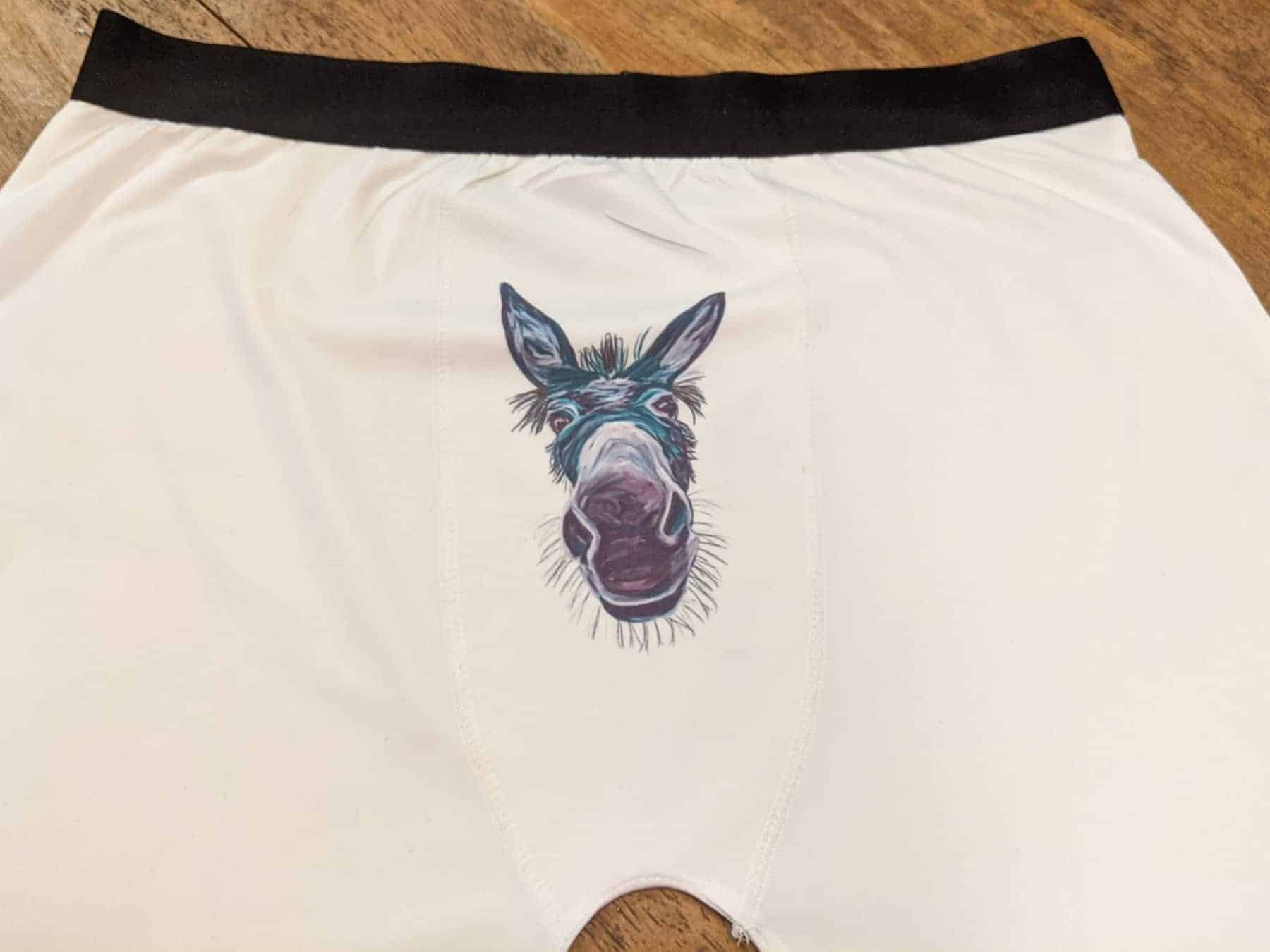Black Band Boxer Briefs - Painted Donkey